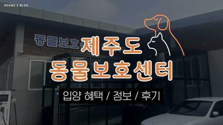 제주도-동물보호센터-유기견-유기묘-보호소-후기