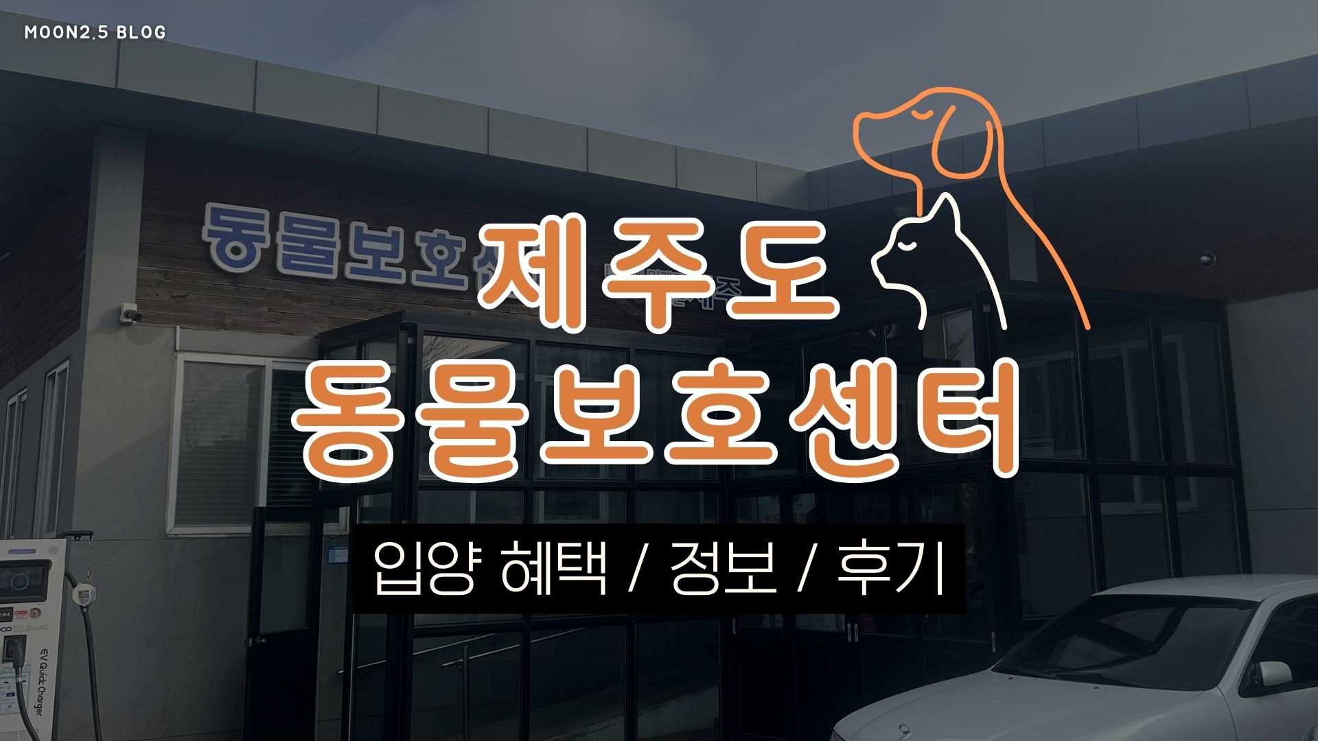 제주도-동물보호센터-유기견-유기묘-보호소-후기