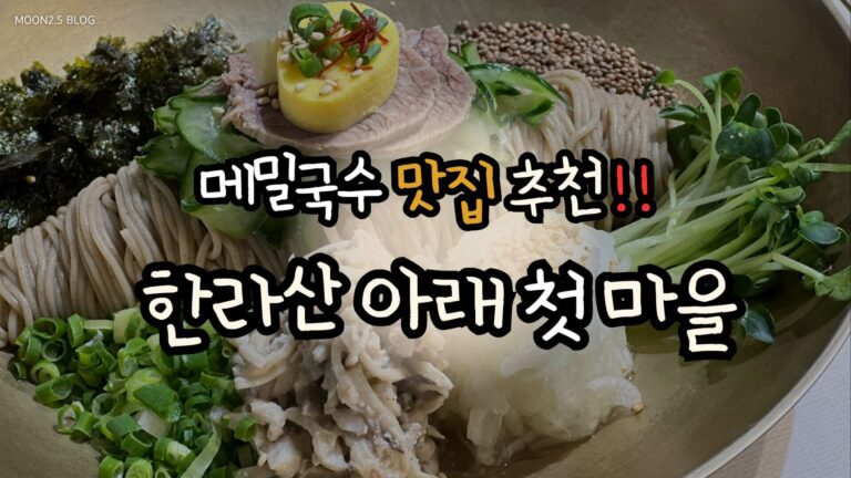 제주도-맛집-서귀포-한라산아래첫마을-후기